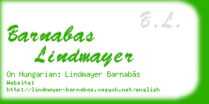 barnabas lindmayer business card